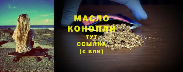индика Тобольск