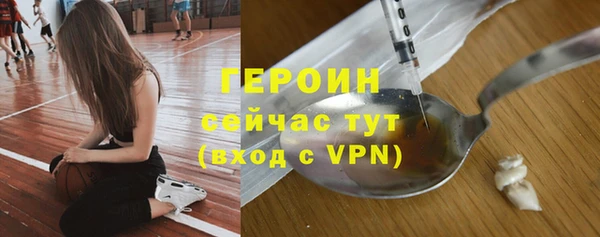 индика Тобольск