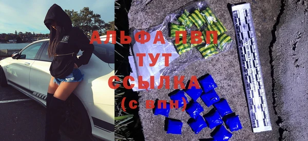 индика Тобольск