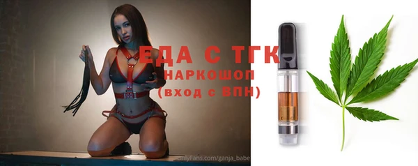 индика Тобольск