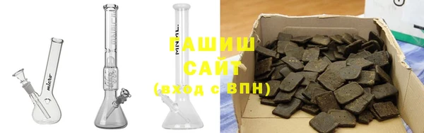 индика Тобольск