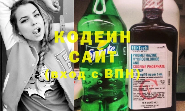 индика Тобольск