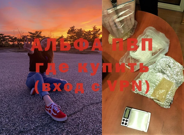 индика Тобольск