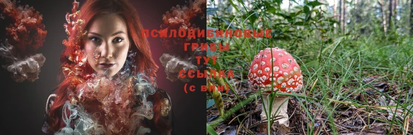 индика Тобольск