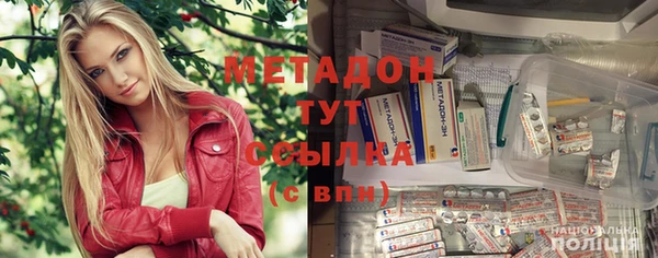 индика Тобольск