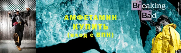индика Тобольск