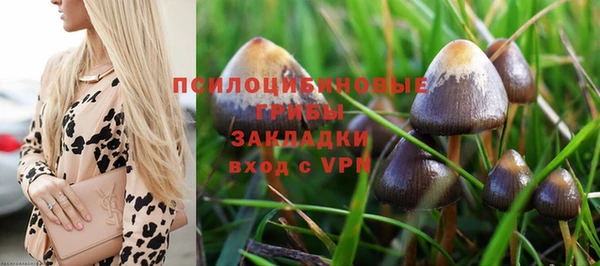 индика Тобольск