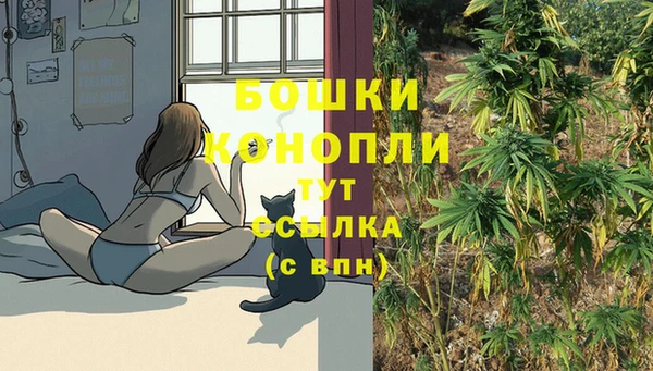 индика Тобольск