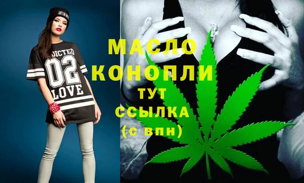индика Тобольск