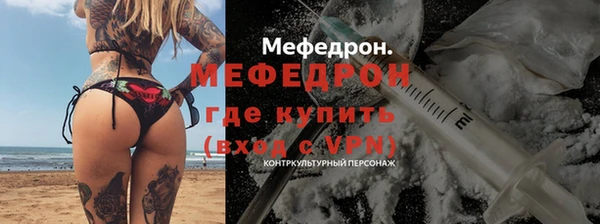 индика Тобольск